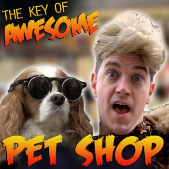 Абложка альбома - Рингтон Macklemore & Ryan Lewis - Thrift Shop